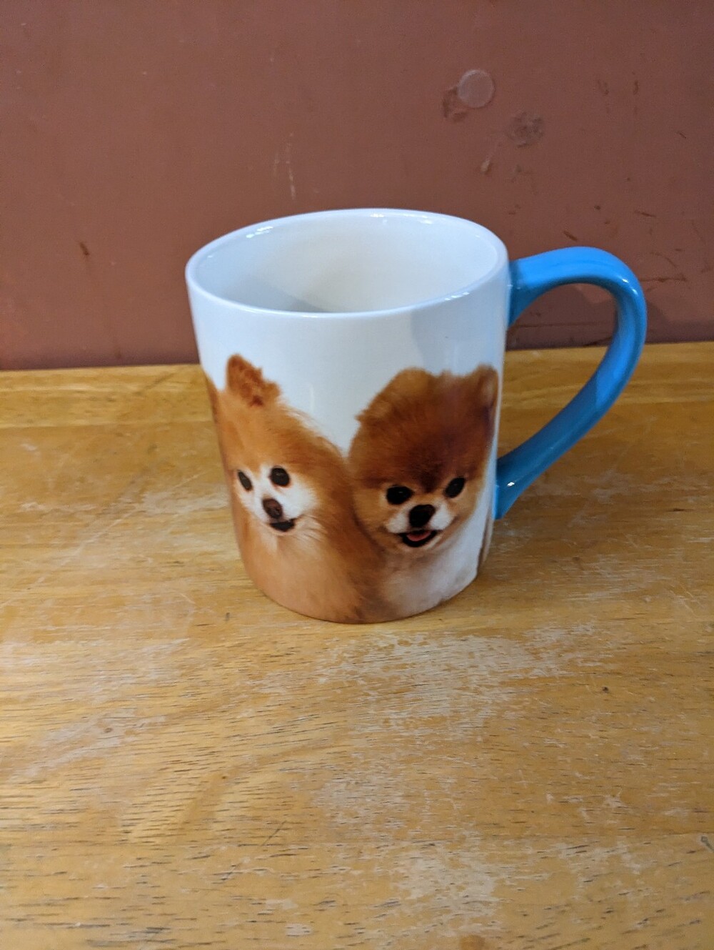 Boo The World's Cutest Dog 16 oz Stoneware Coffee Mug Gund Pomeranian, T18MIS